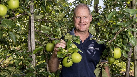 Greenstar Äpfel - Christian Steiger, Büron Luzern 800x450_aepfel_steiger
