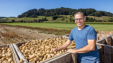 2160x1250-kartoffeln-pfister-altishofen