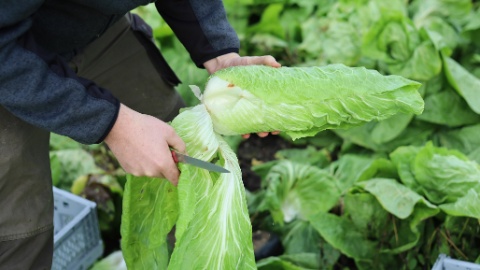 Ausschnitt_2400x1350_IMG_9928