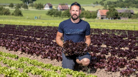 Bio-Salat von Michael Reichmuth aus Oberarth teaserbild-migros-luzern-1800x1013px-michael-reichmuth-salate