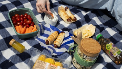 2024_06_Grill_Sommer_Bio_Picknick