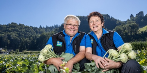 2160x1250-adr-schildknecht-kohlrabi