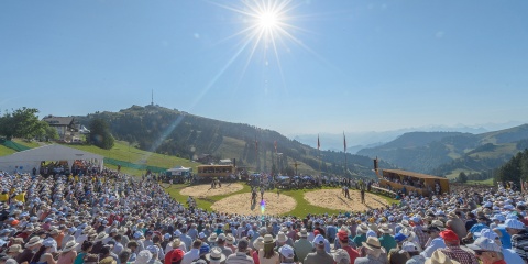 rigi-schwingen