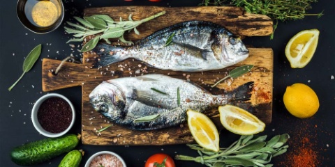 fischkochkurs