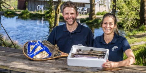 Spielhofer Fisch AG