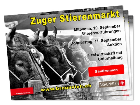 800x600_stierenmarkt2025-flyer