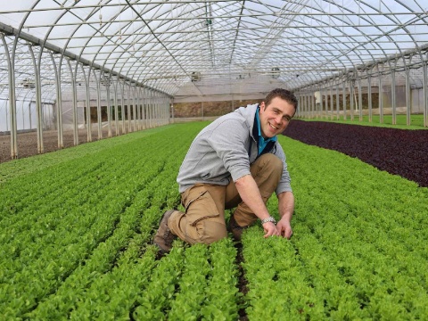 2160x1215-adr-baby-leaves-kilian-boog-feld