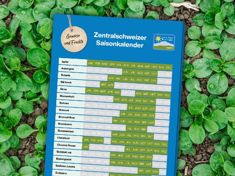 saisonkalender-vorschau_4-3_web