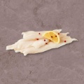 rotzungenfilet_1-1